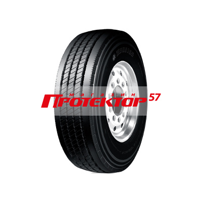 warrior WS210