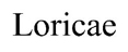 Loricae