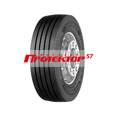 EVERGREEN EAR30