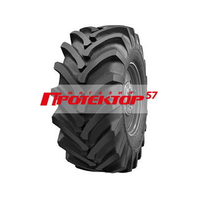 Алтайшина ИЯВ-79