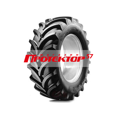 VREDESTEIN Traxion+