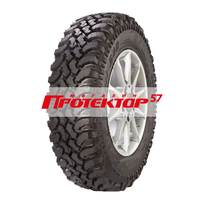 Safari 540 (шип)