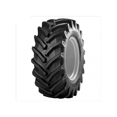 TM 800 HS