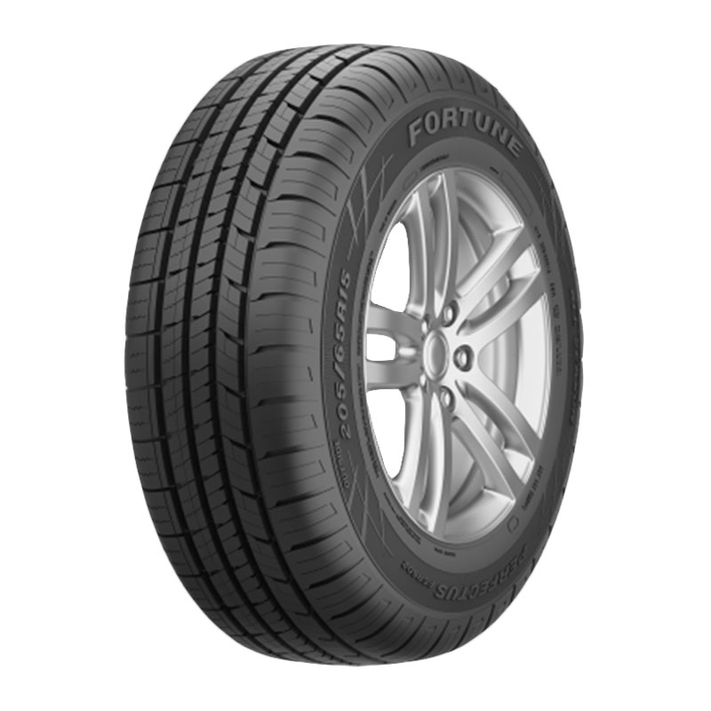 FSR602