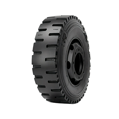 EZ310W