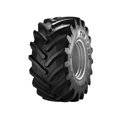 TM 2000