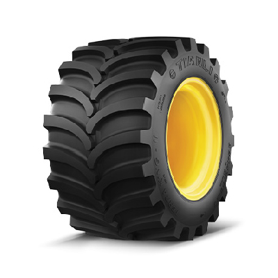 TERRA KING II