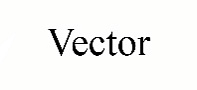 ВЕКТОР