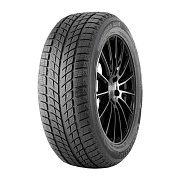 А/шина 255/50R19 Doublestar DW09 (старше 3-х лет) 107T TL