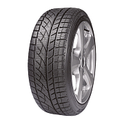 А/шина Evergreen EW66 245/40R19 98H TL