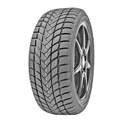 А/шина Delinte Winter WD6 225/50R17 98H TL