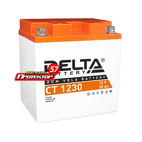 Аккумулятор DELTA Battery Agm 30 А/ч R+ обратная EN300A 168x126x175 Болтовые мото